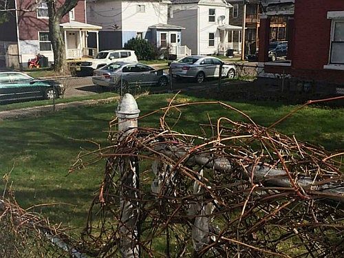 5th image of 1207 E 21st St