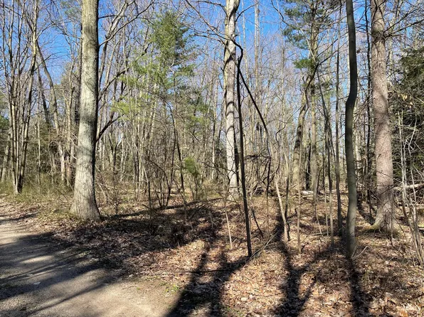 11300 143rd Ave, West Olive, MI 49460