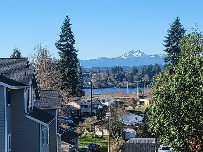 the view off of back porch
