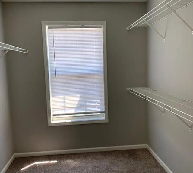 3212 Sweet Clover Ln — Photo 12