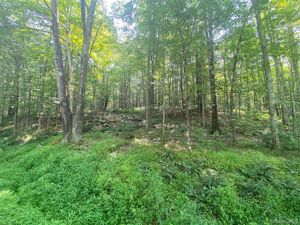 2nd image of South Road