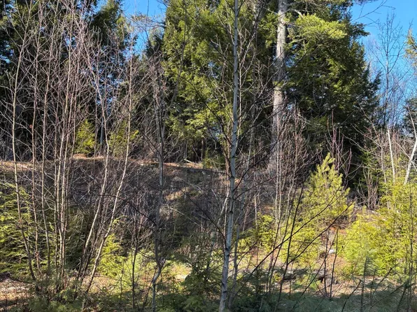 6 Bog Brook Loop, West Paris, ME 04289