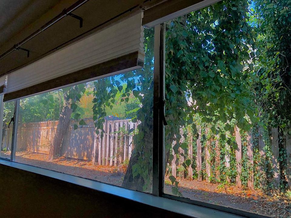 View from the bedroom window