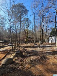 0 Pinkstoncreek Joes Fish Camp Rd #27 & 28, Titus, AL, 36080