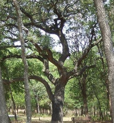 Community Hike & Bike