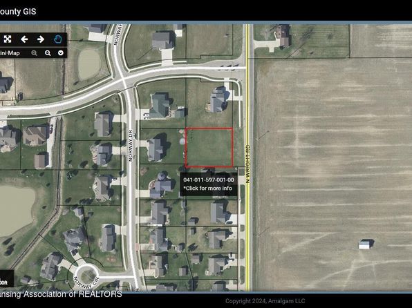 LOT 1 N Wright Rd, Fowler, MI 48835