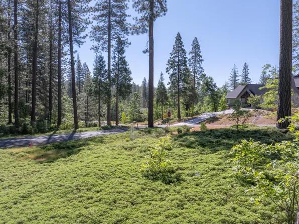 Vireo Way, Avery, CA 95224