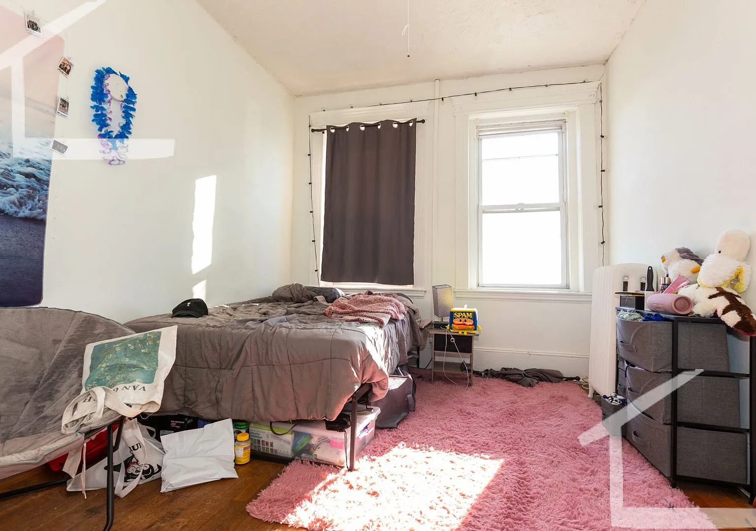 Large 1 split in Allston — Photo 1