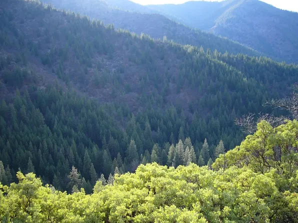6 Miles Out Yreka Walk, Yreka, CA 96097