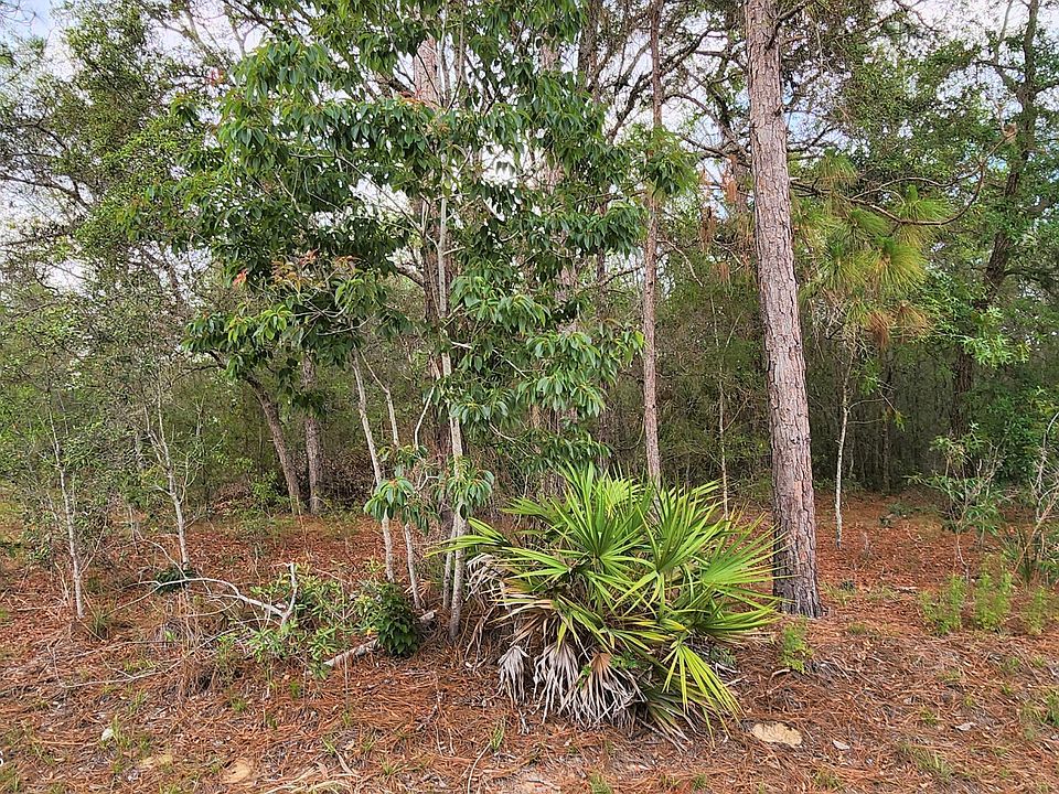 14019 Redstart Ave, Brooksville, FL 34614 Zillow