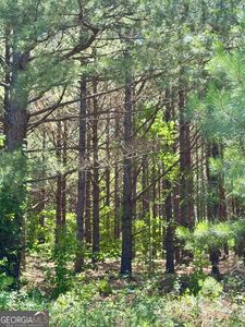 0 Sheppard Rd, Tennille, GA, 31089