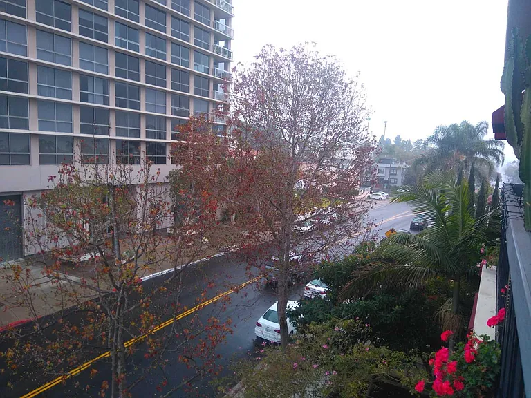 VIEW FROM FRONT BALCONY OFF OF LIVING ROOM