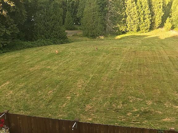 5th image of 7313 85th Ave NE