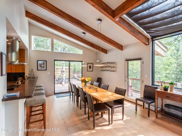 262 Eastwood Dr, Aspen, CO 81611