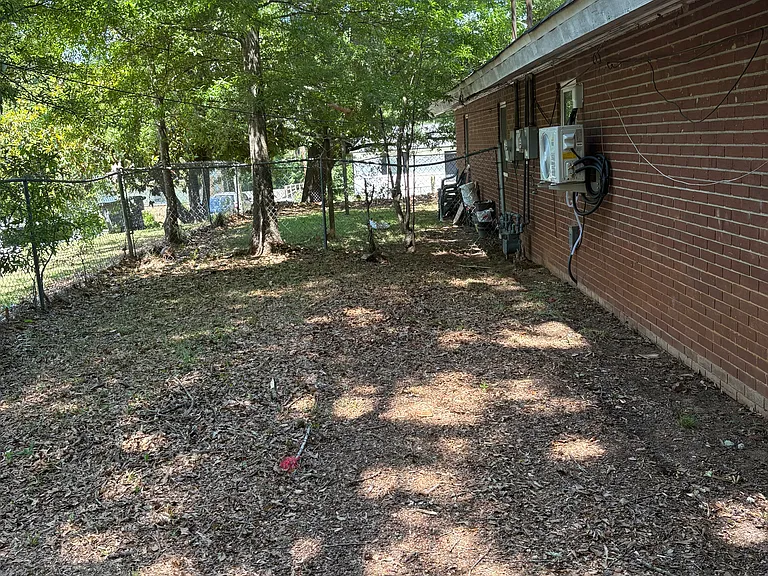 Back yard area