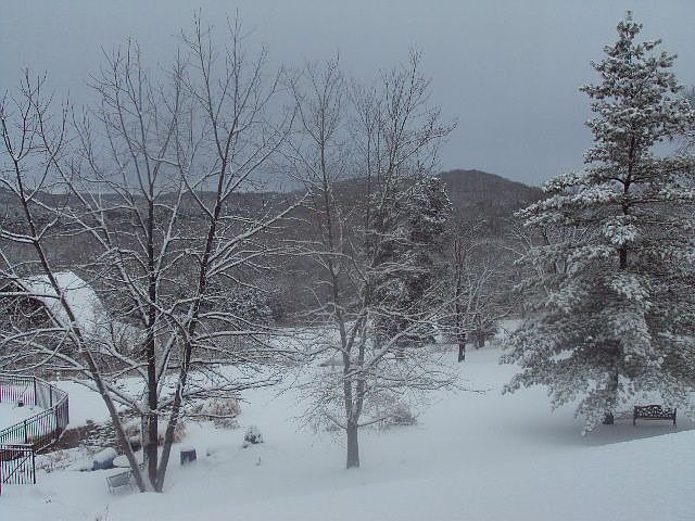 view on a snowy morning