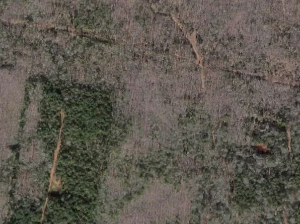 24906 Highway 300, Roland, AR 72135