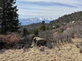 Basin Dr #1, Cotopaxi, CO 81223