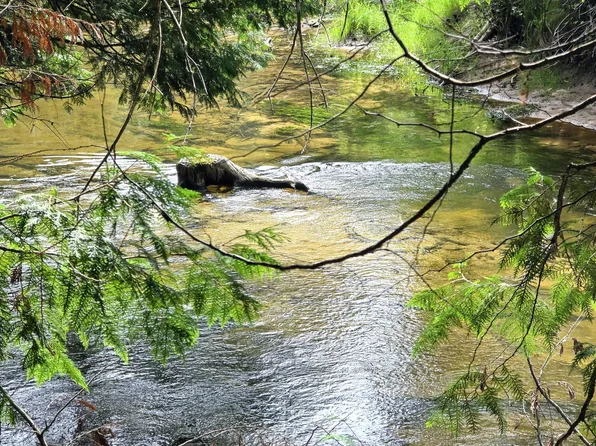 13980 S River Ln, Ocqueoc, MI 49759