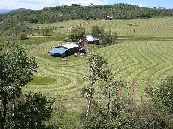 Hay field harvest