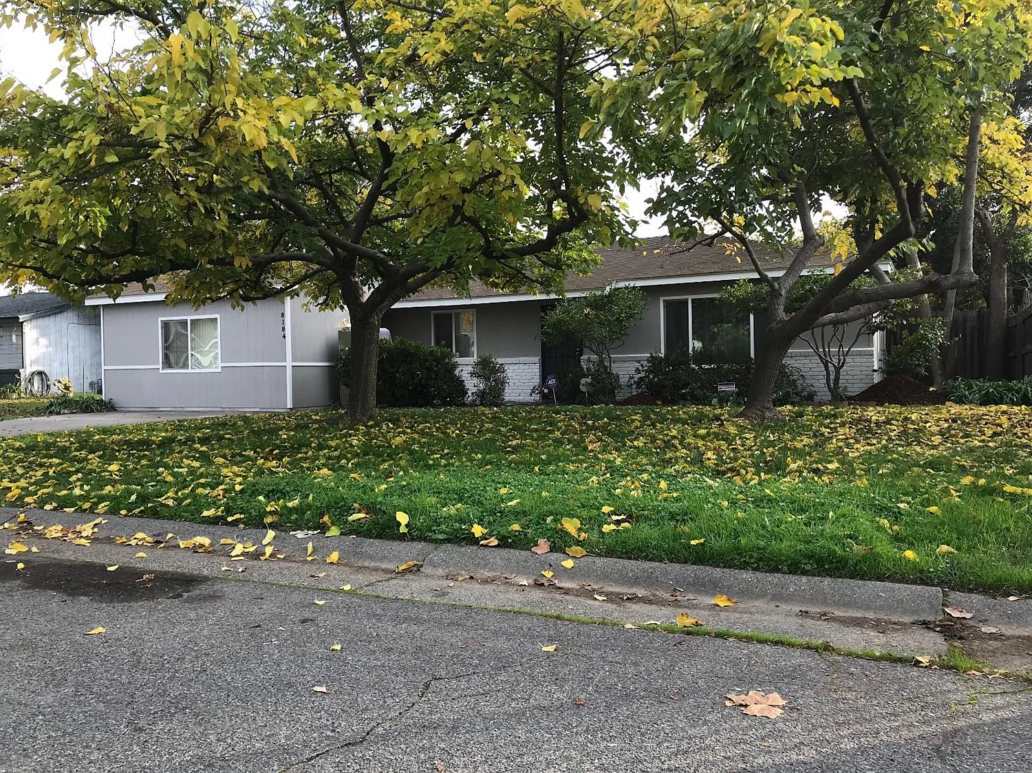 8184 Judette Ave photo 1