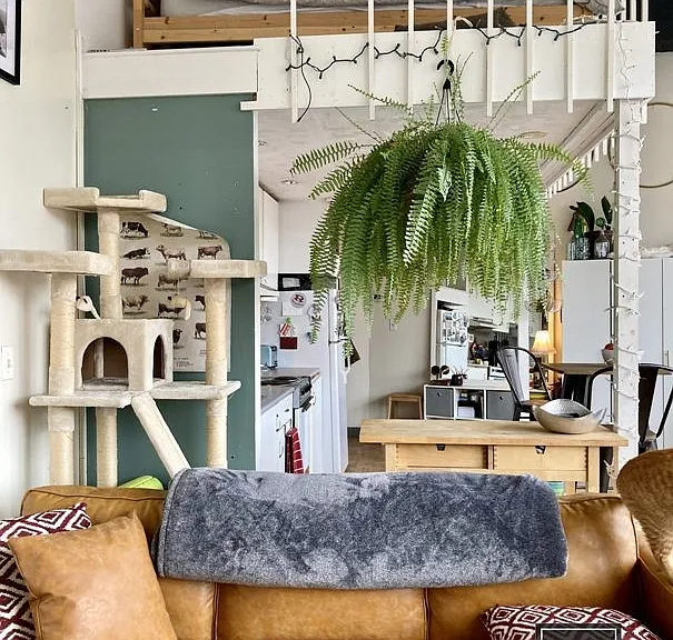 63 Brookline Ave #403 — Photo 1
