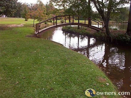 Walk bridge to island in pond