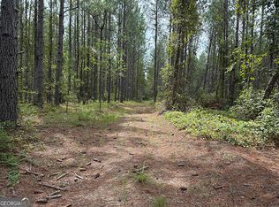 0 Blun Rd, Swainsboro, GA 30401