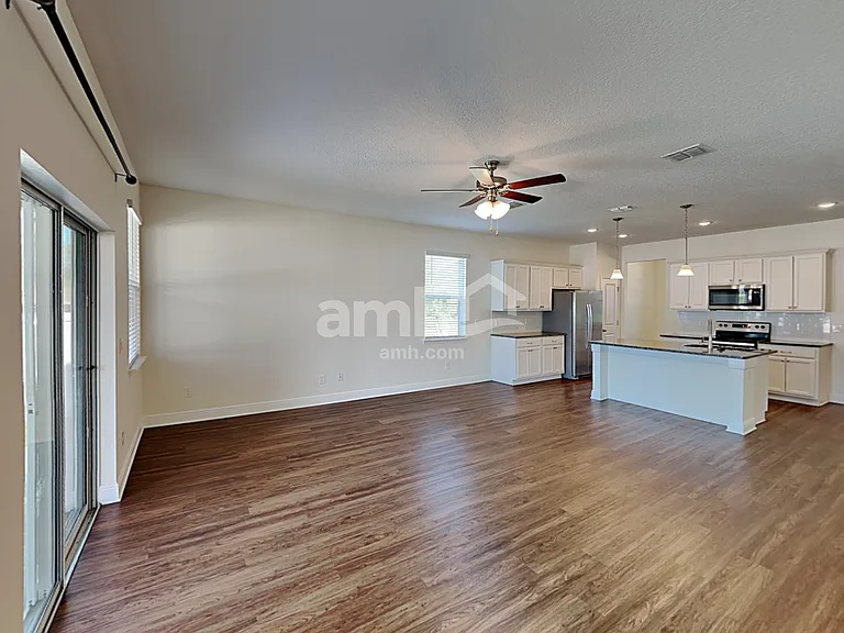 1306 Celery Palm Cv — Photo 5