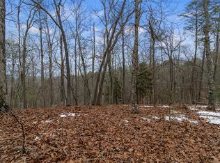 Tr4 Curtis Ridge Rd, Blue Ridge, GA 30513