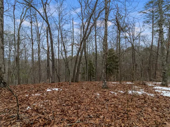 Tr4 Curtis Ridge Rd, Blue Ridge, GA 30513