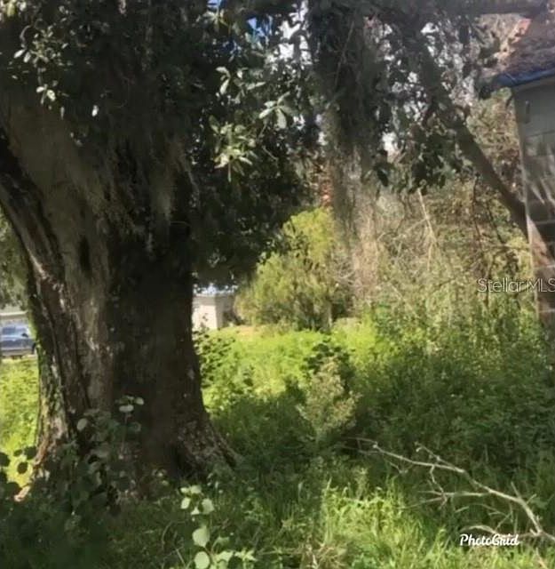1st image of 601 N Hillsborough Ave