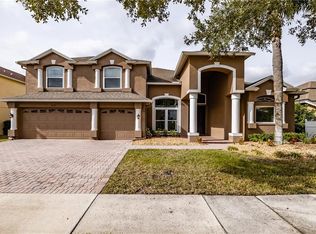 18110 Diamond Cove Ct, Tampa, FL 33647