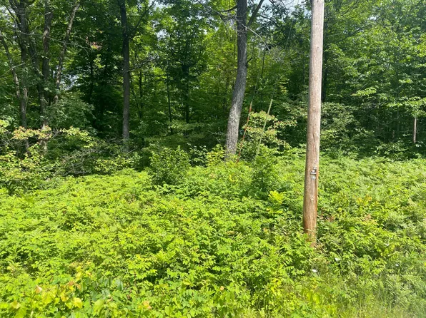 Captive Lake Rd, Garrison, MN 56450