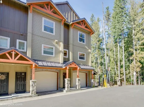 87698 E Creek Ridge Rd, Government Camp, OR 97028