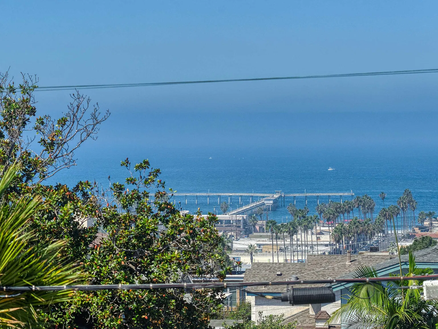 1 bed, 800 sqft, $3,800 — Photo 3