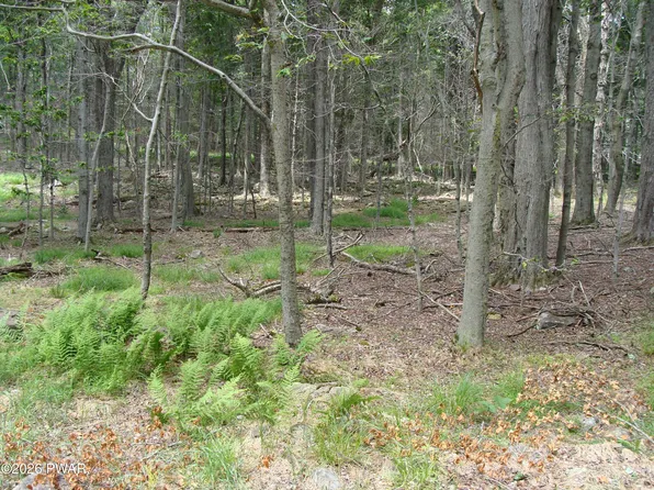 Pocono Dr, Gouldsboro, PA 18424