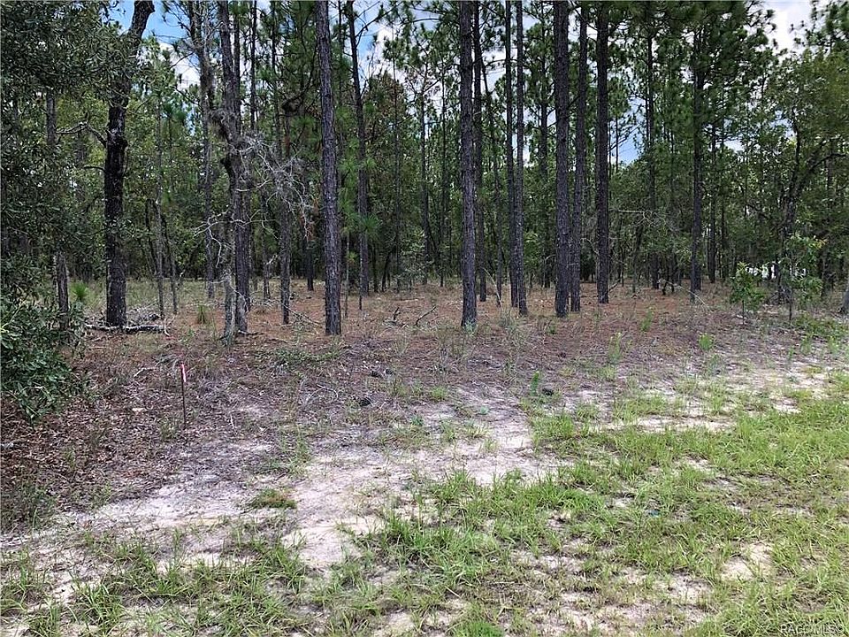1st image of 9526 N Camel Dr