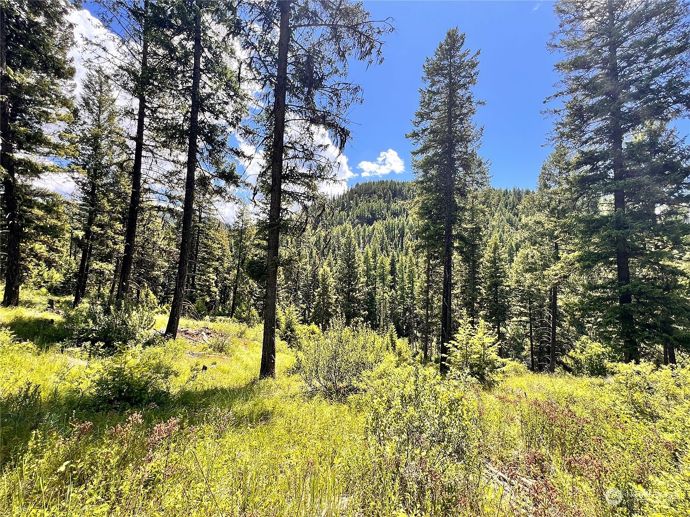1st image of 0 TBD Old Kettle Falls Road