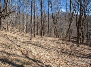 99999 Robinson Cove Rd #5, Leicester, NC 28748