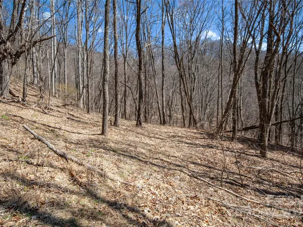 99999 Robinson Cove Rd #5, Leicester, NC 28748