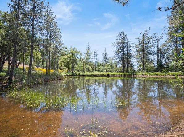 1750 Sliger Mine Rd, Greenwood, CA 95635