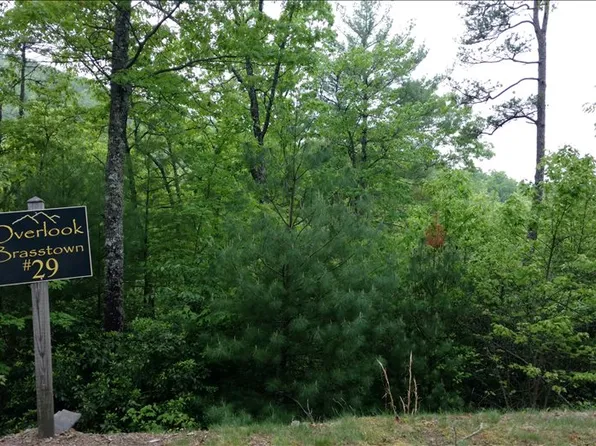 LOT 29 Brasstown Vw, Brasstown, NC 28902
