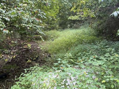 218 Millers Run Fallen Timber Rd, Lucasville, OH, 45648