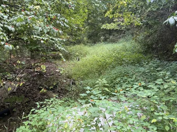 218 Millers Run Fallen Timber Rd, Lucasville, OH 45648