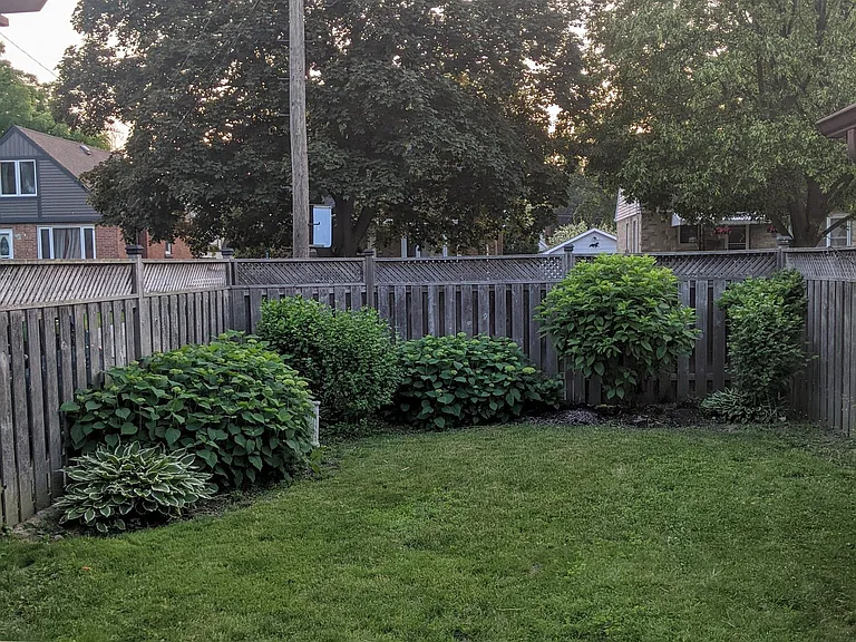 257 Dundonald Ave — Photo 20