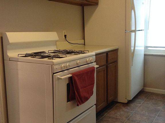 Range, Frig and cabinets