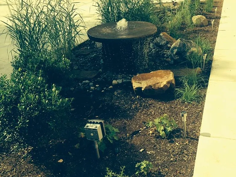 common garden