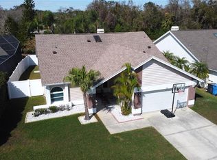 8731 Boysenberry Dr, Tampa, FL 33635