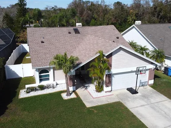8731 Boysenberry Dr, Tampa, FL 33635
